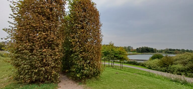 Caroline Pinter Expat coaching walk and talk coaching Haarlemmermeer Amstelveen