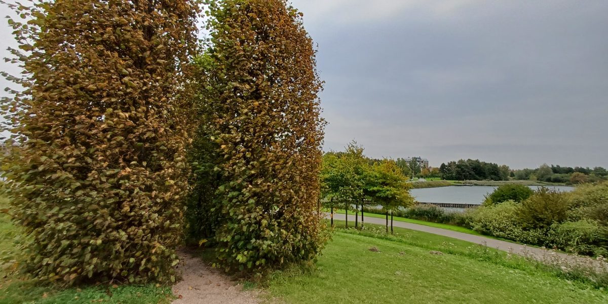 20250920_123615-scaled.jpg