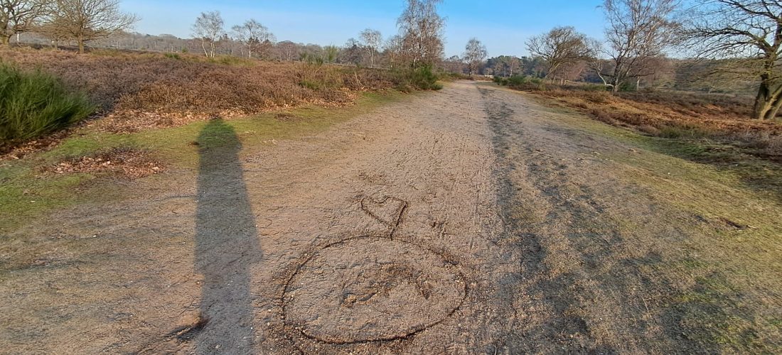 caroline pinter expat coaching Haarlemmermeer