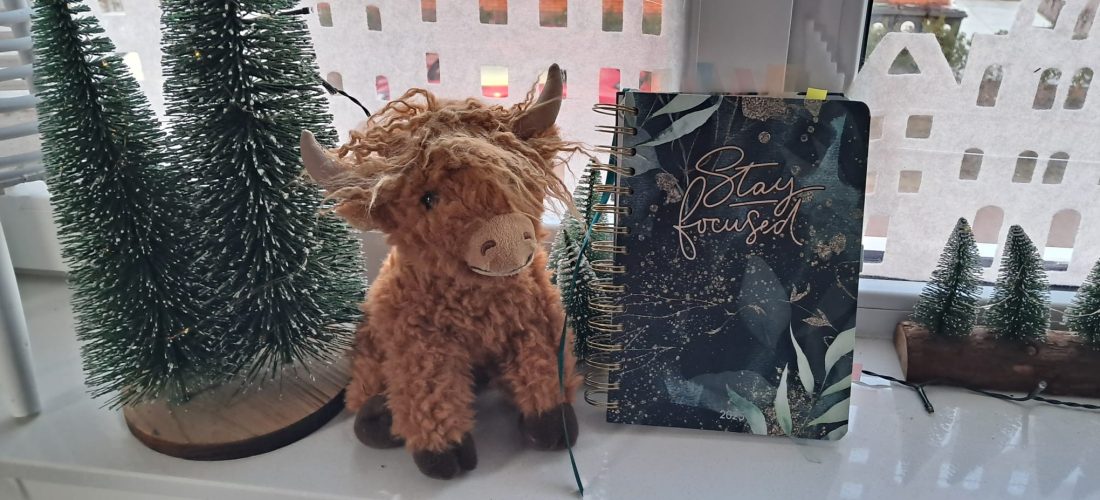 caroline pinter expat coaching Haarlemmermeer