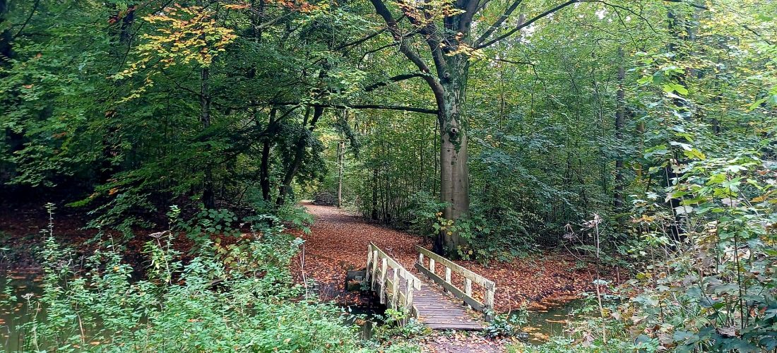 caroline pinter expat coaching Haarlemmermeer Amsterdamse Bos