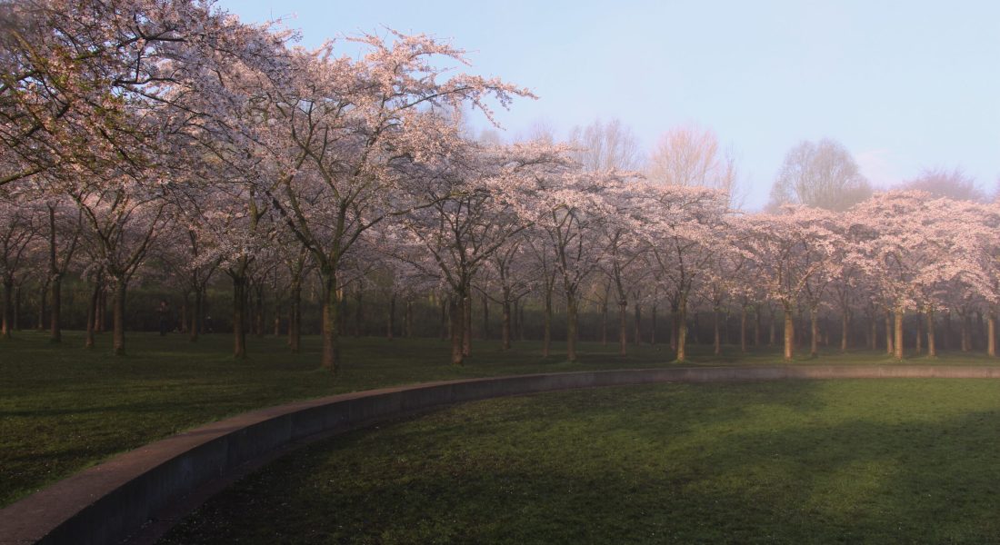 Bloesempark Amstelveen Caroline Pinter Expat Coaching Walk and Talk Coaching Bloesempark Amstelveen Caroline Pinter Expat Coaching Walk and Talk Coaching