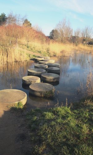 Stepping stones Toolenburgerplas Hoofddorp Expat Coaching Caroline Pinter