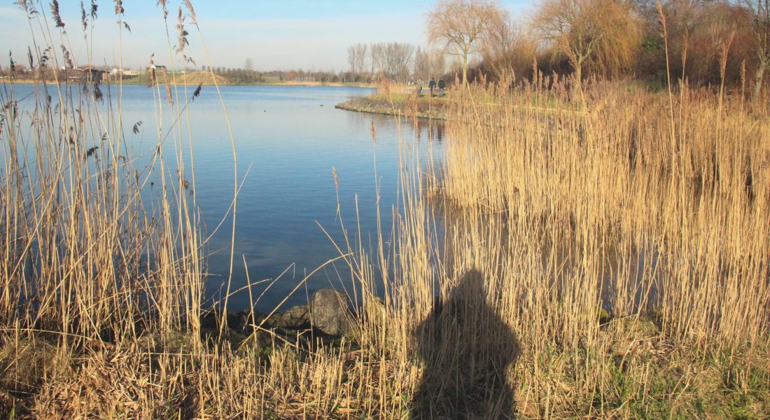 Walk and Talk Coaching Caroline Pinter Toolenburgerplas Hoofddorp