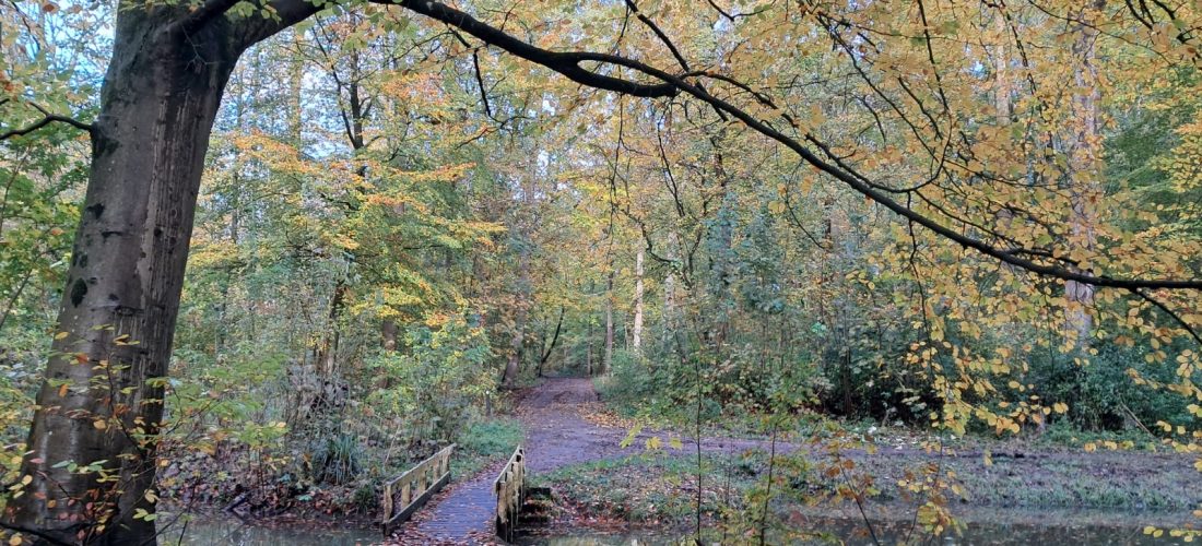caroline pinter expat coaching Haarlemmermeer Amsterdamse Bos
