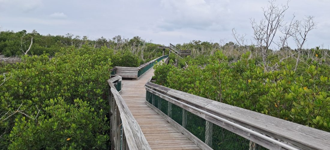 Why Do Some Vacations Leave You Feeling Truly Recharged?